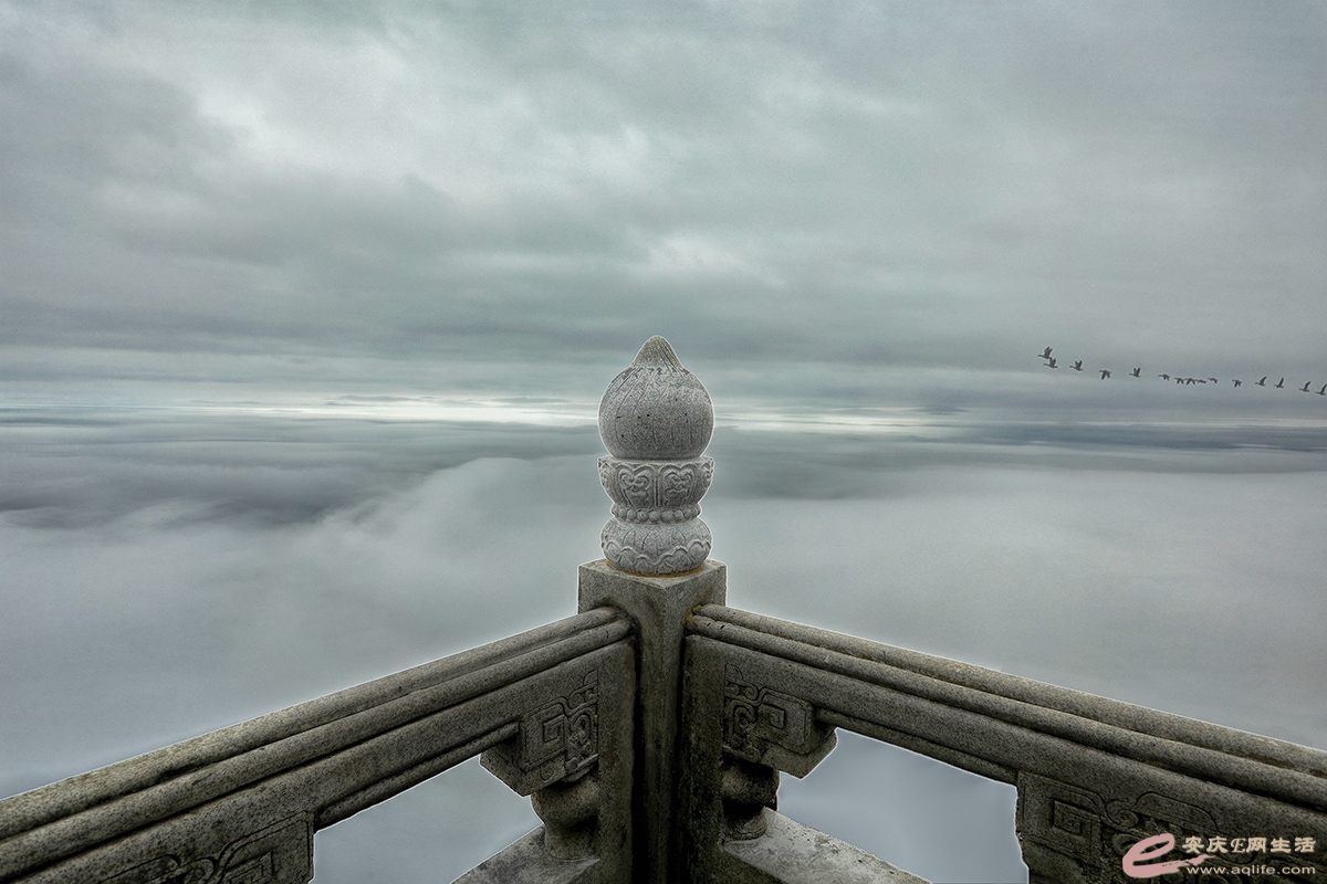ZLGL1715A1.jpg