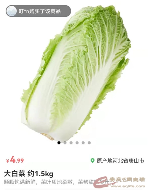 640.webp (12).jpg