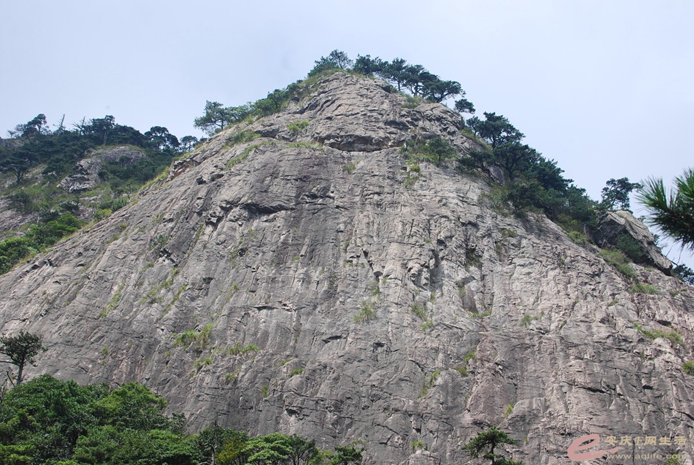 DSC_8107.jpg