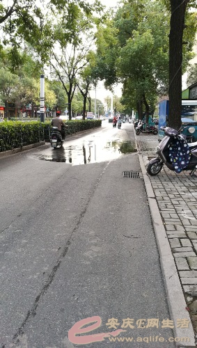 190519zkqadrrhvdbv4ab4.jpg