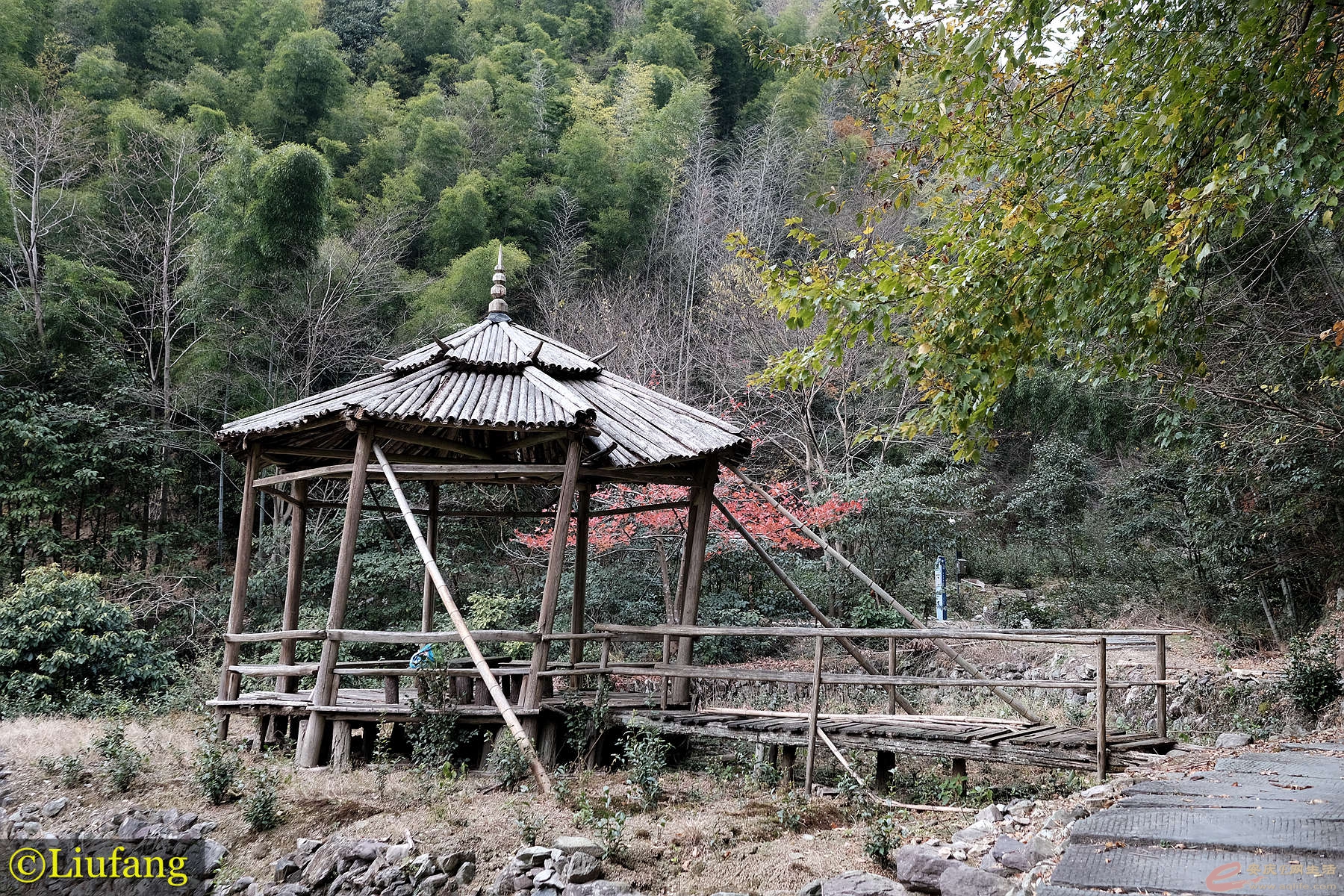 DSCF4009.JPG_.jpg