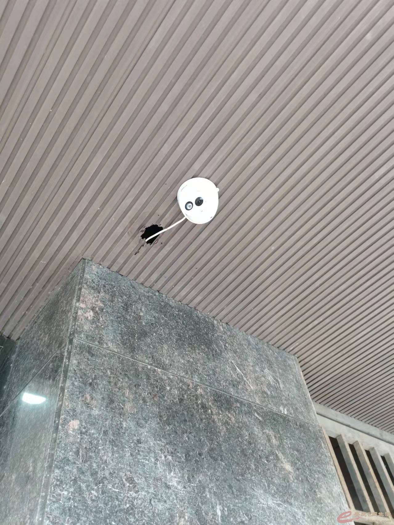 ͷ.jpg