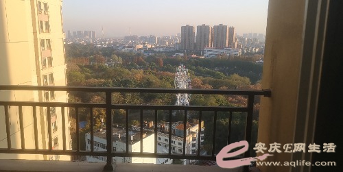 IMG_20211206_161821.jpg