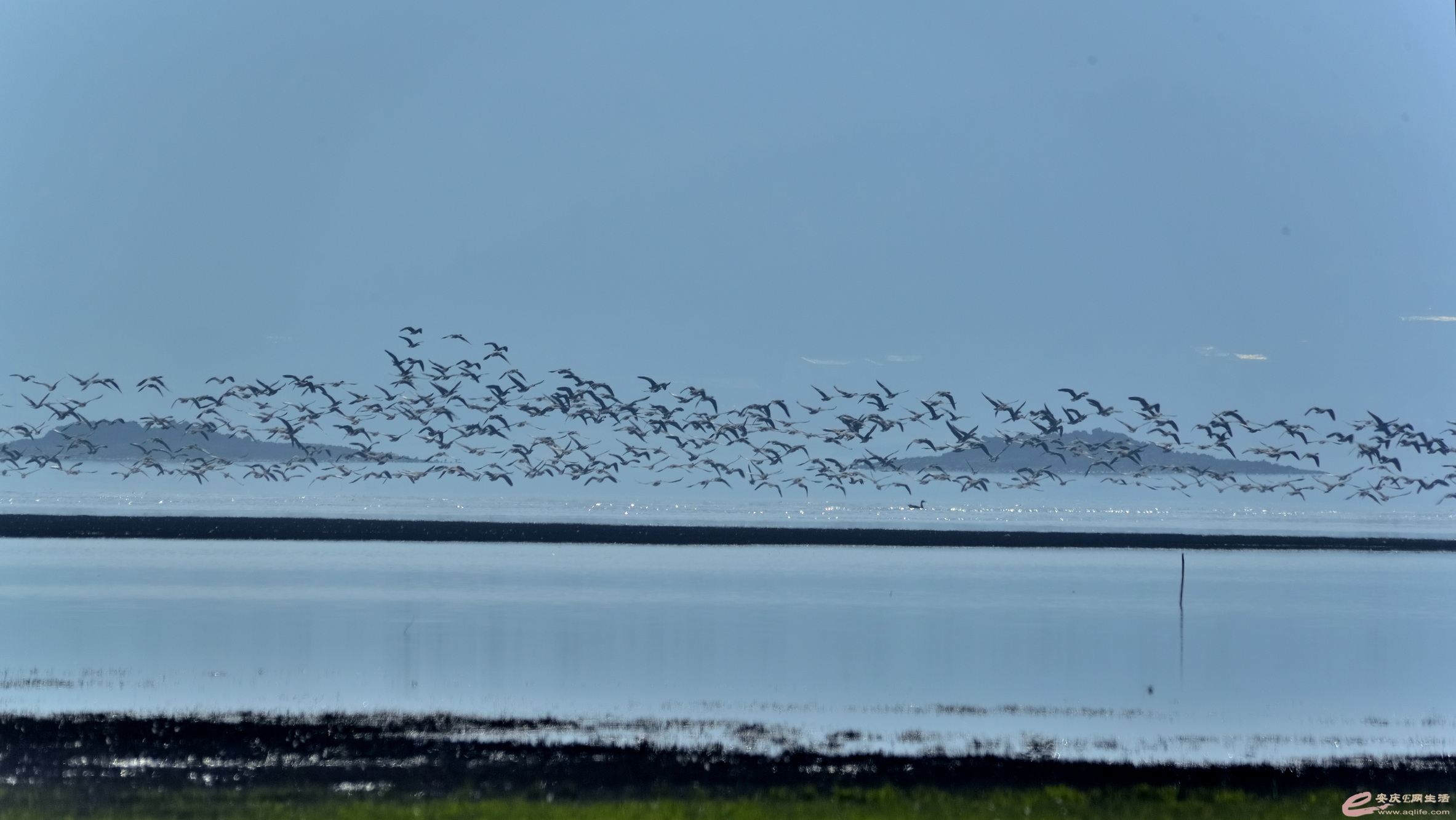 _DSC6892.JPG