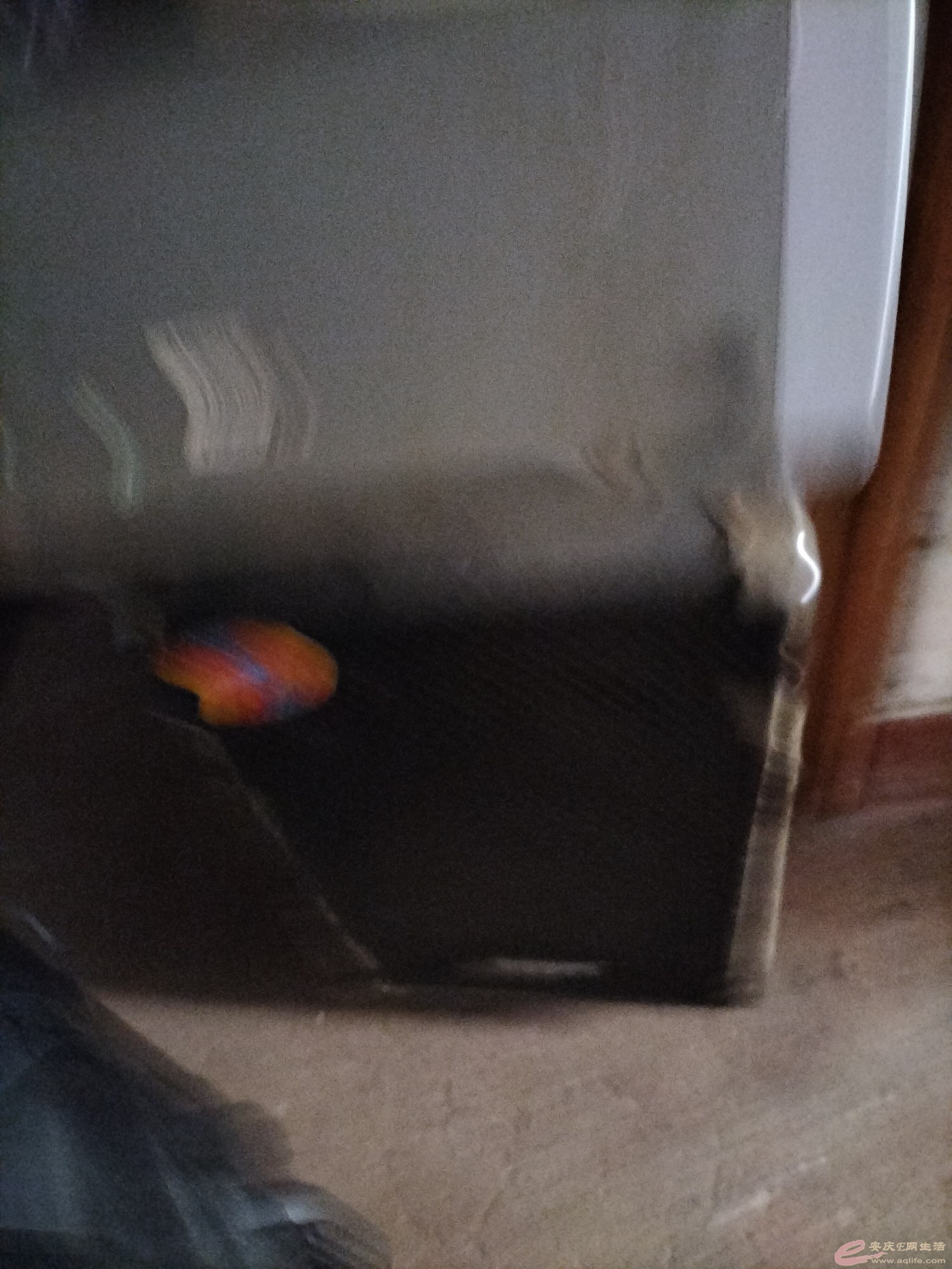 1640324375755114.jpeg