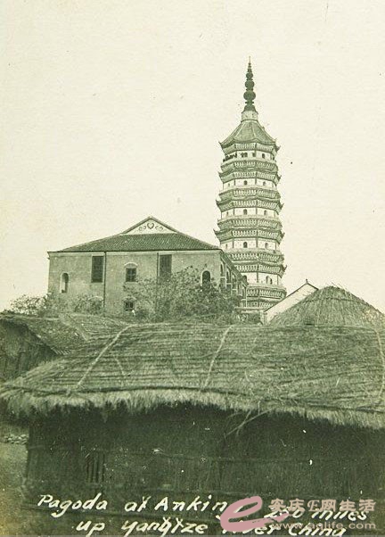 ƬƬӢĴΪйӽӱߵİ250.jpg