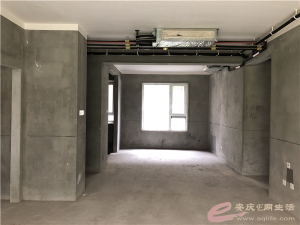 88f90a8b-929a-4ad6-adcb-b2957cd1ac57_0.jpg