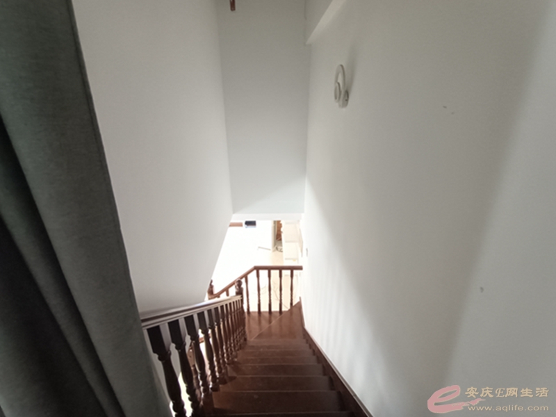 d194a7bf-0250-416b-bedd-c8bd9b46f072_0.jpg