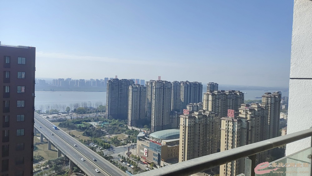 IMG_20201216_102622.jpg