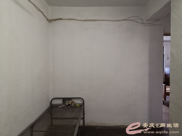 52f5bcab-9177-4ca8-8dd0-39e520cd6f3e_0.jpg