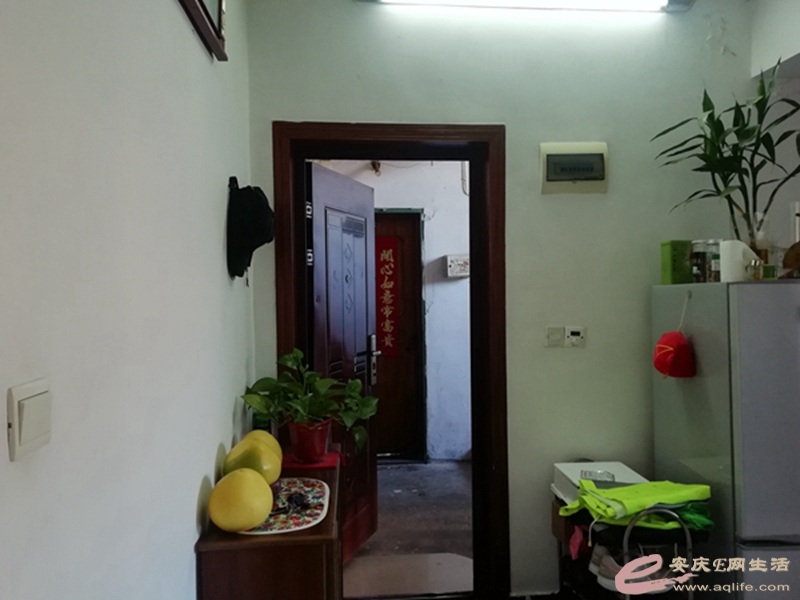 f0f08823-313c-4d49-9dcc-43cce027e6db_0.jpg