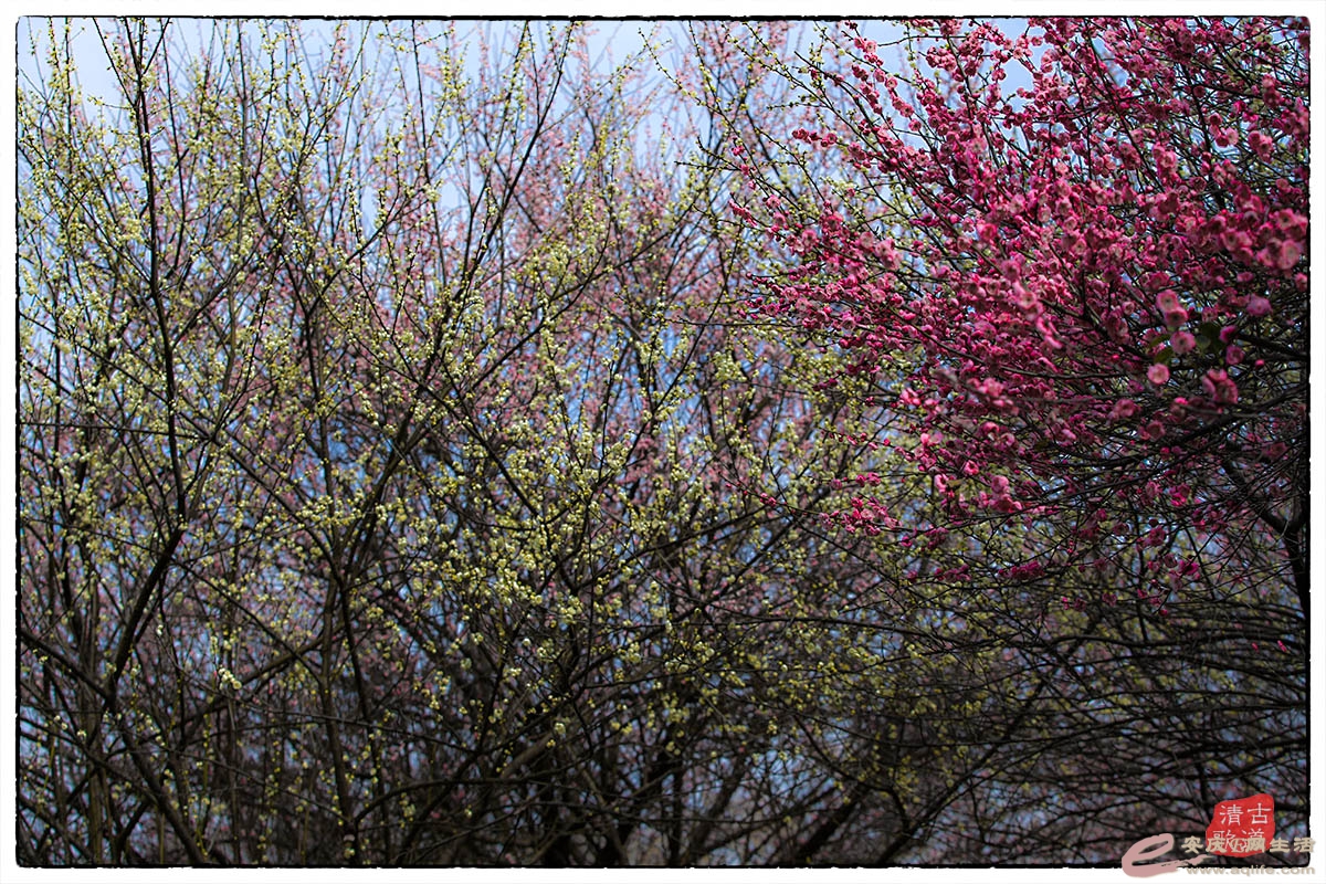 IMG_8170.jpg