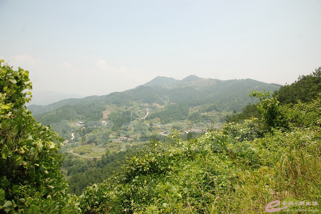 DSC_3612.jpg
