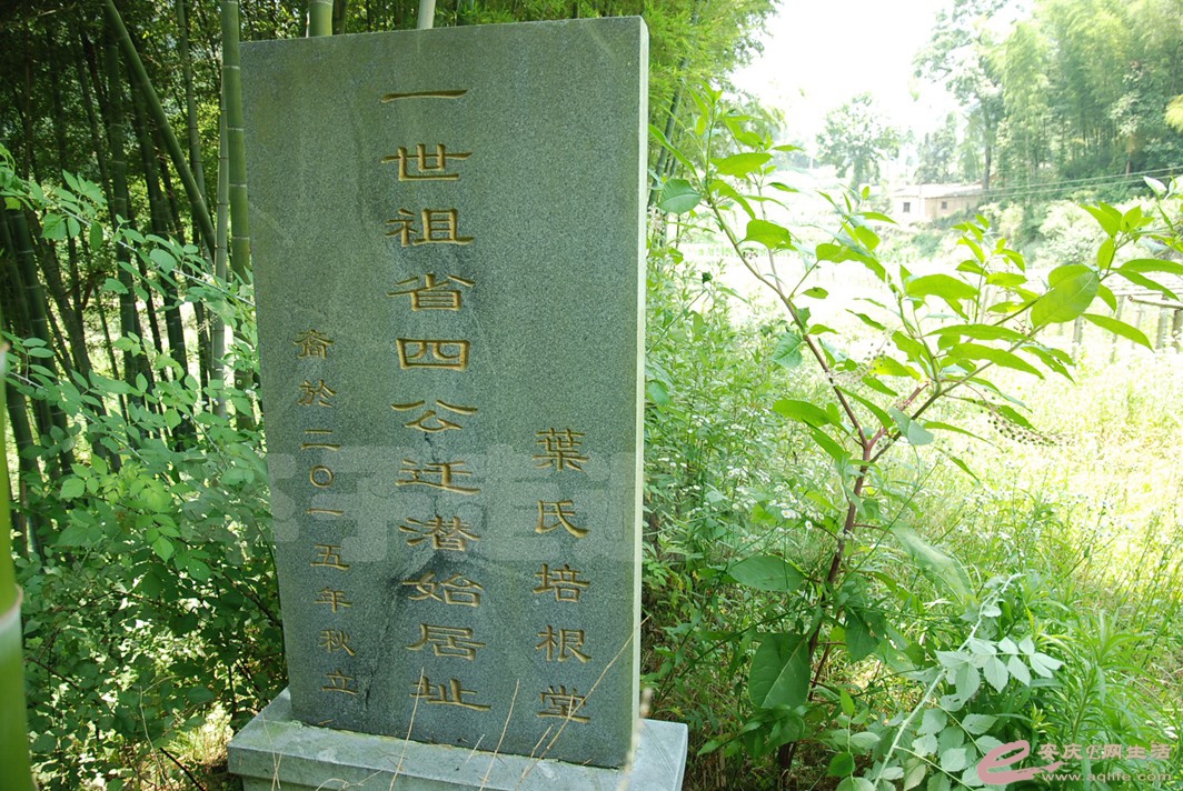 DSC_3622.jpg