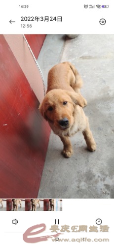 Screenshot_2022-03-24-14-29-31-940_com.miui.video.jpg