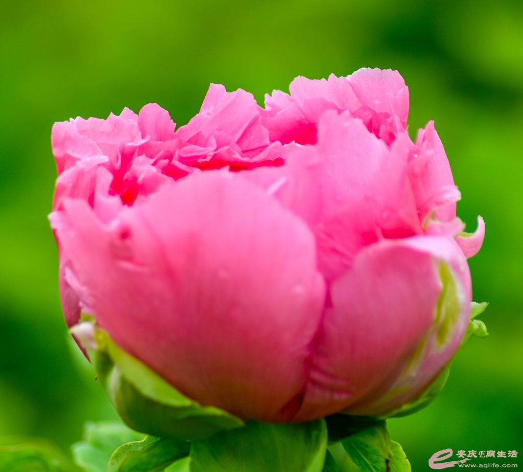 _DSC9819_.jpg
