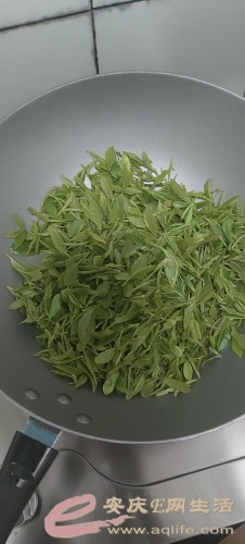 mmexport1648945616518.jpg