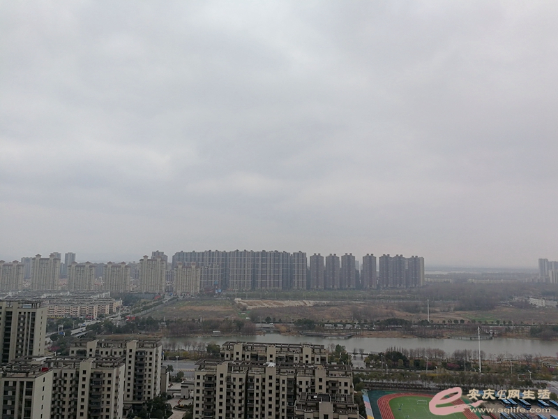 4d1f50a7-869b-4909-8e65-69054da47b17_0.jpg