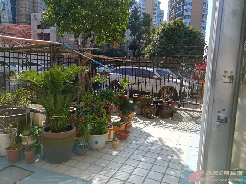 ba21a949-ba51-4079-b1a9-dab78cb36a6f_0.jpg