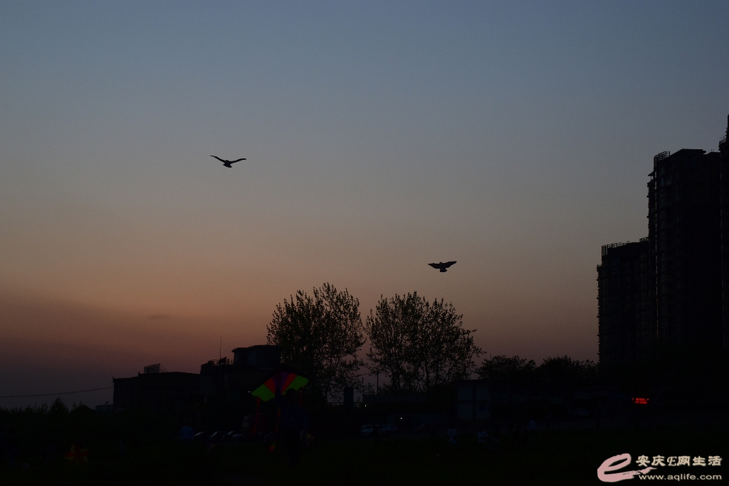 DSC_0074.JPG