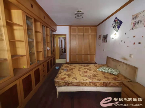 3b6888cf-afd7-4c41-a4cf-cc19b0e89311_0.jpg
