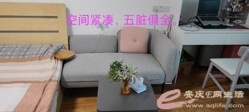 mmexport1656406481716.jpg