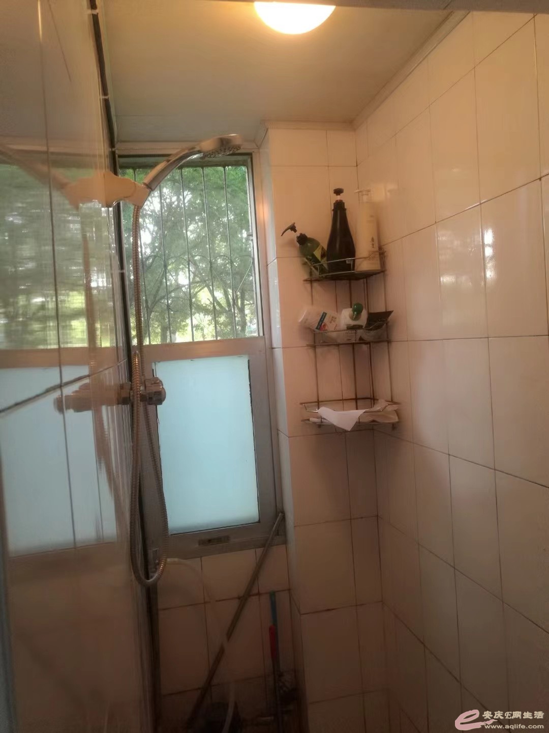 1656974645075832.jpeg