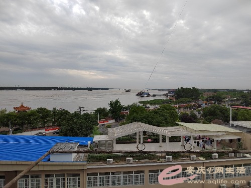 IMG_20220609_181624.jpg