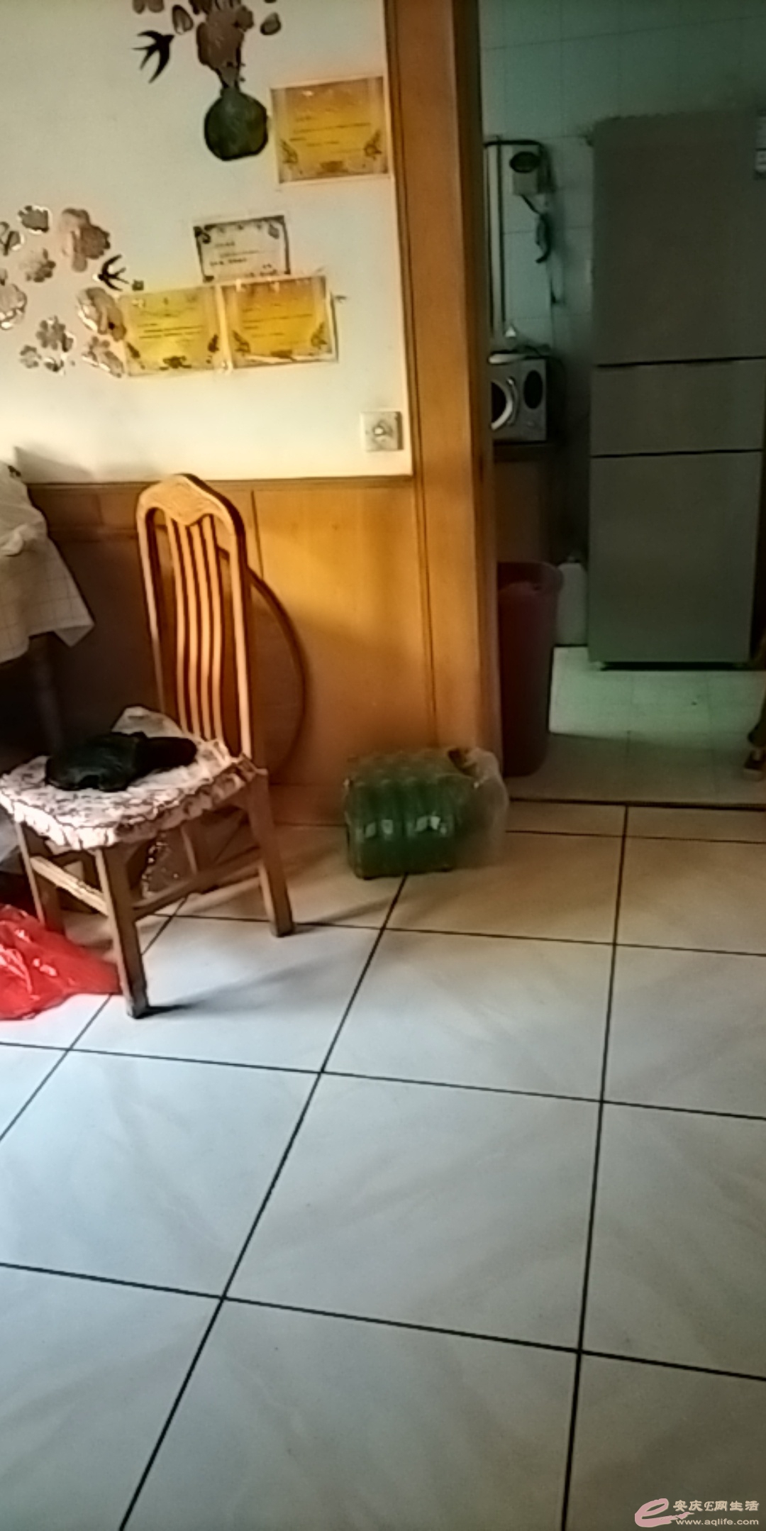 1660434310955791.jpeg