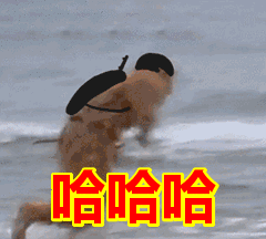 src=http://img2.biaoqingjia.com/biaoqing/201807/719eac106dd41222a6f6ca47ece452fa.gif
