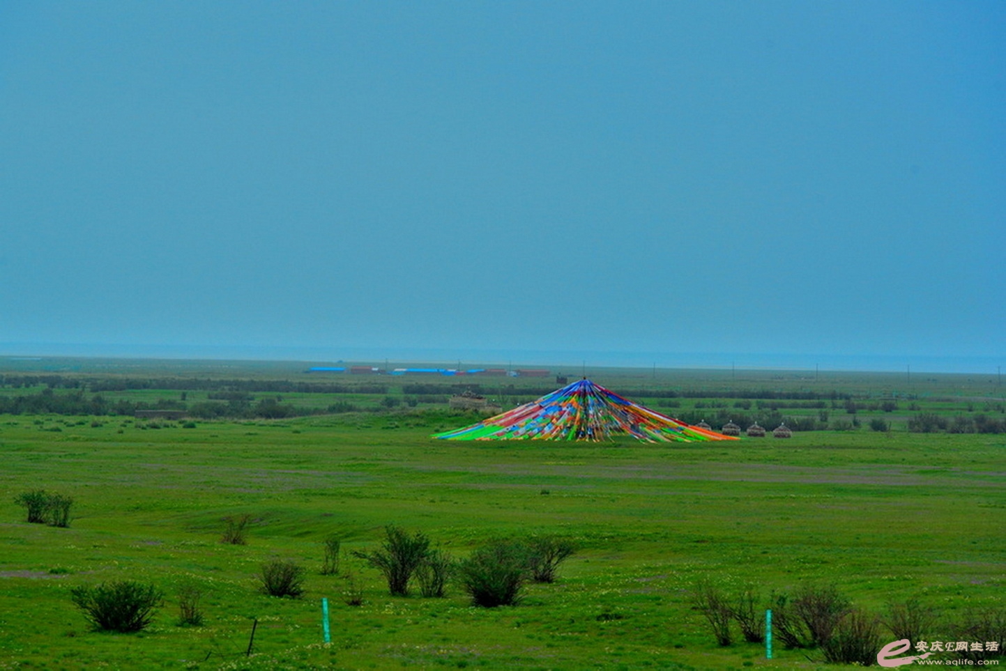 DSC_0205.JPG