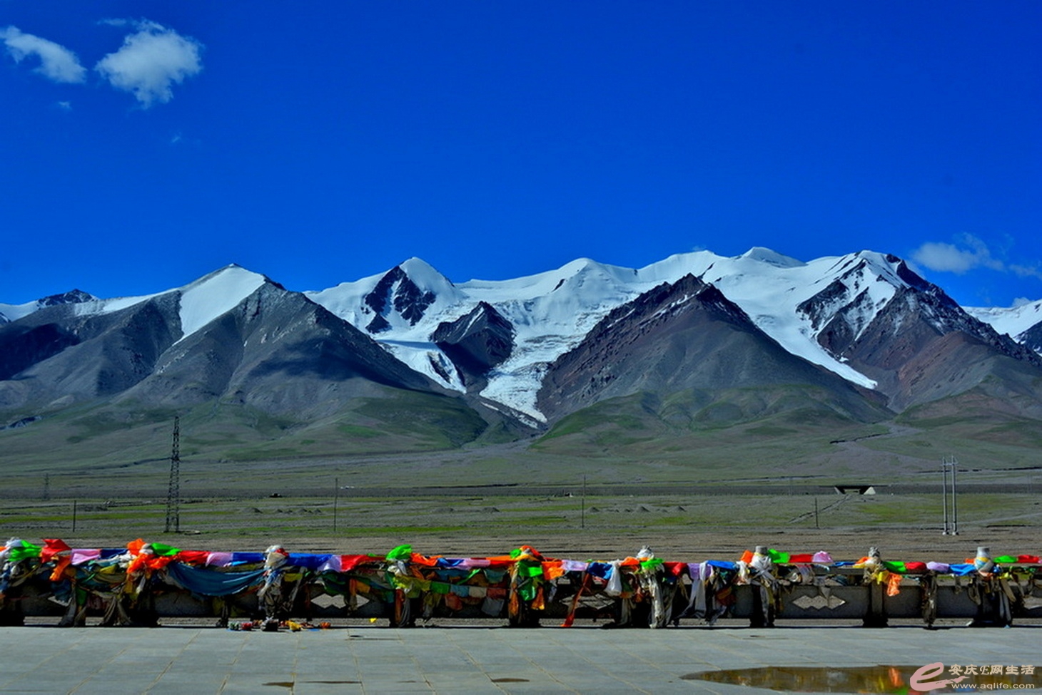 DSC_0914.JPG