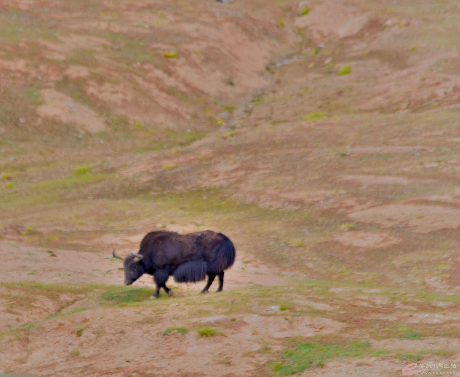 DSC_0969.JPG