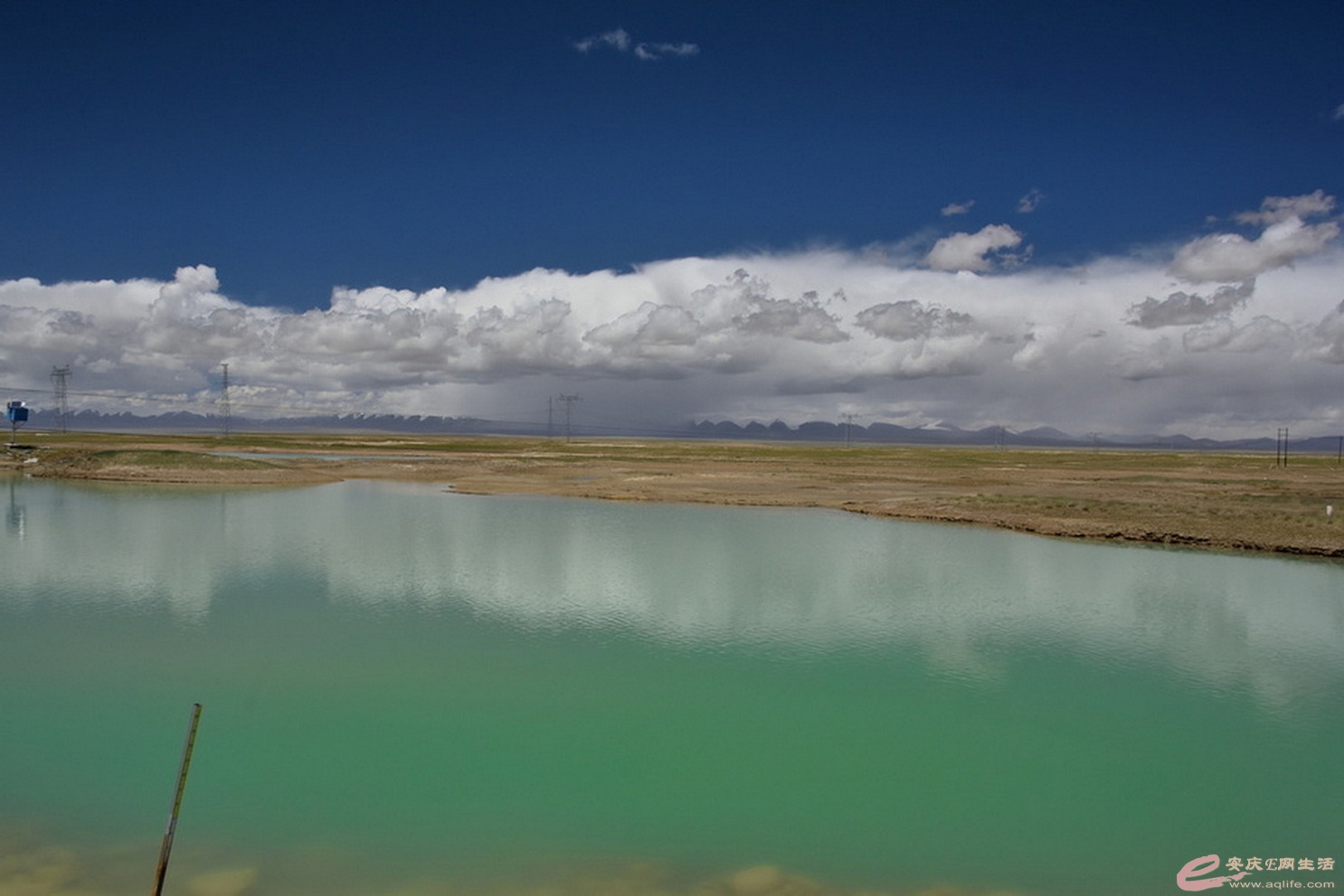 DSC_1132.JPG