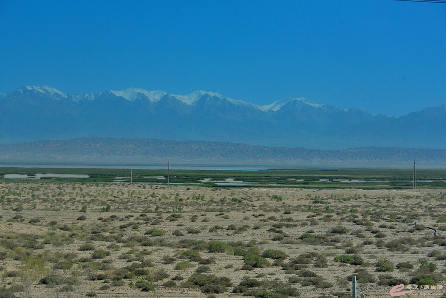 DSC_1204.JPG