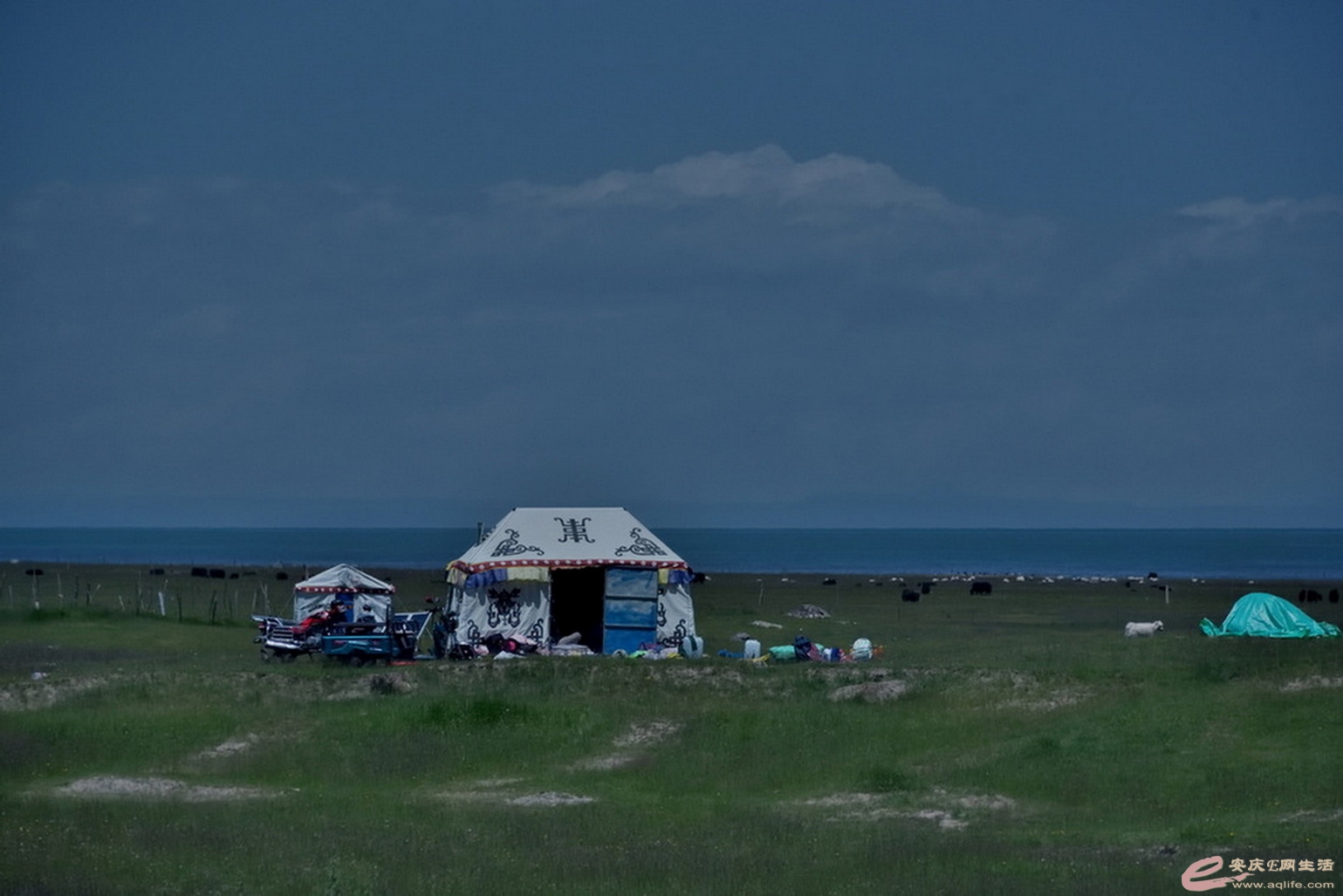 DSC_1714.JPG