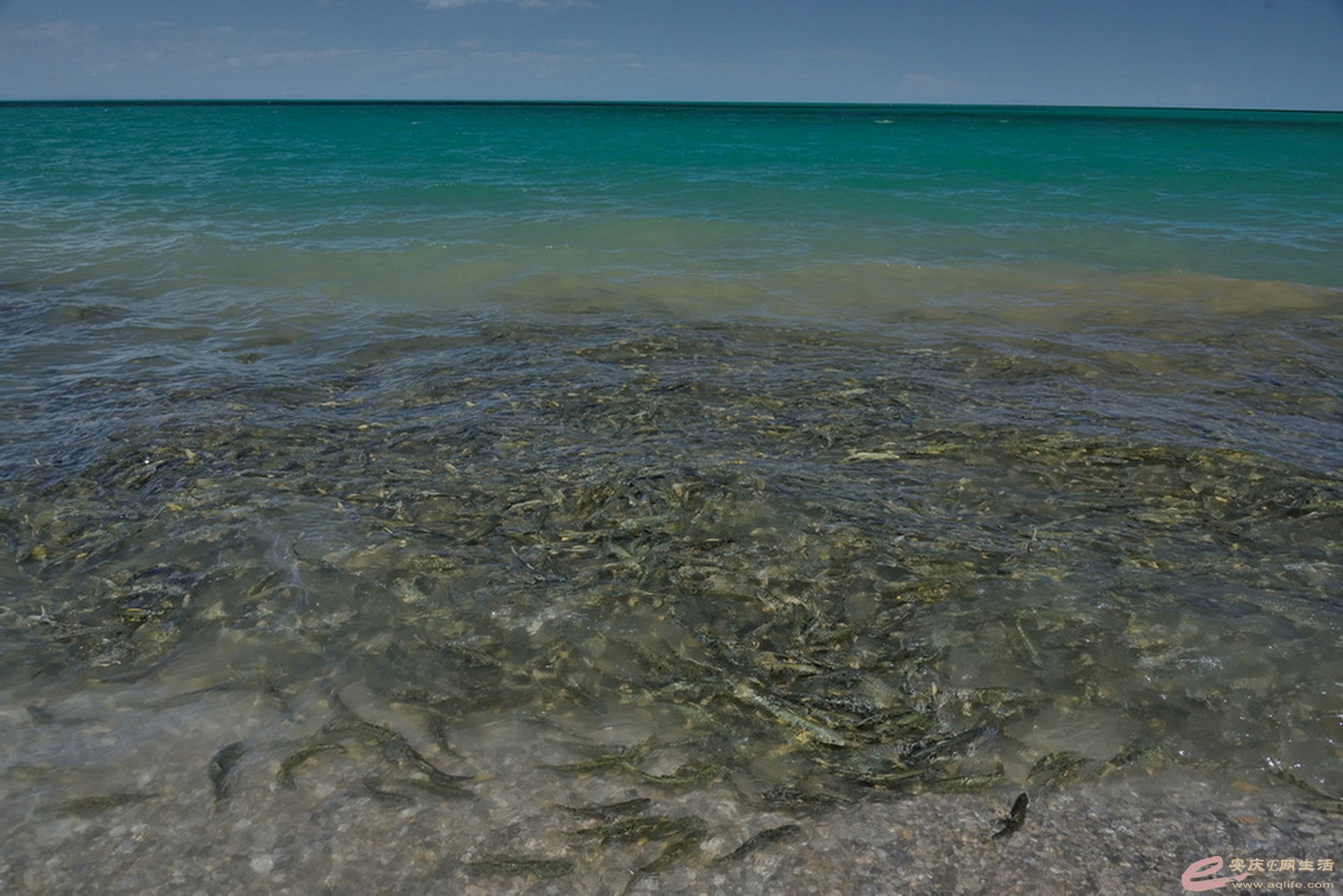DSC_1771.JPG