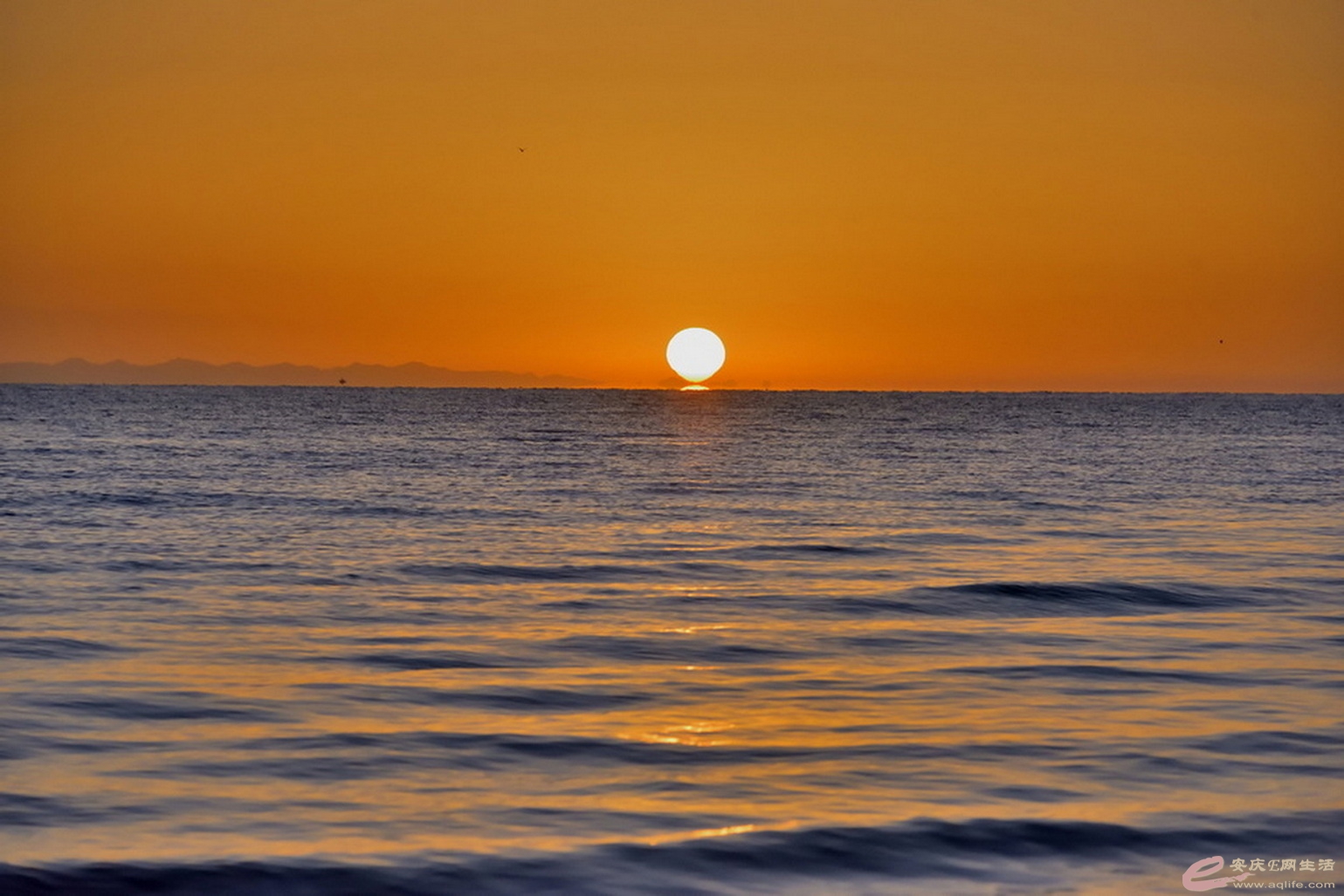 DSC_2256.JPG