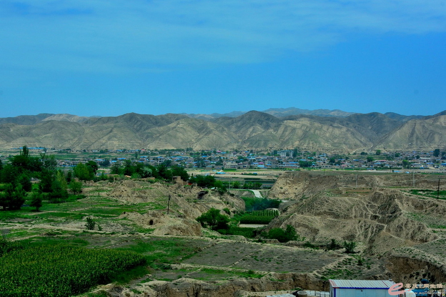 DSC_2434.JPG