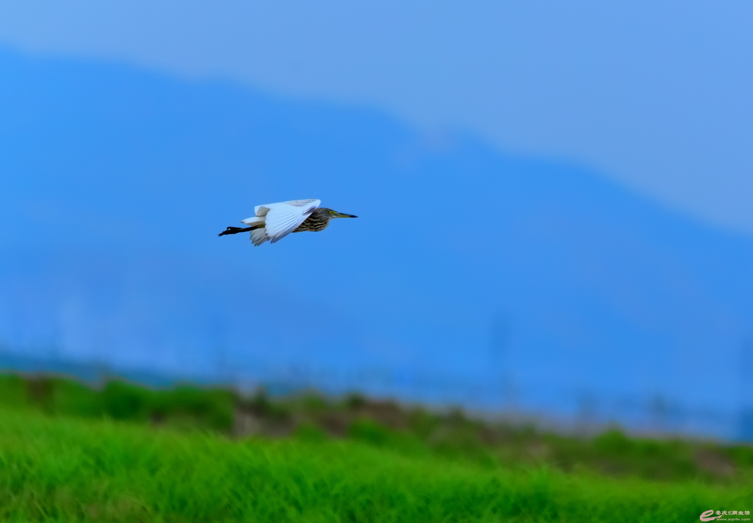 DSC_2969.JPG