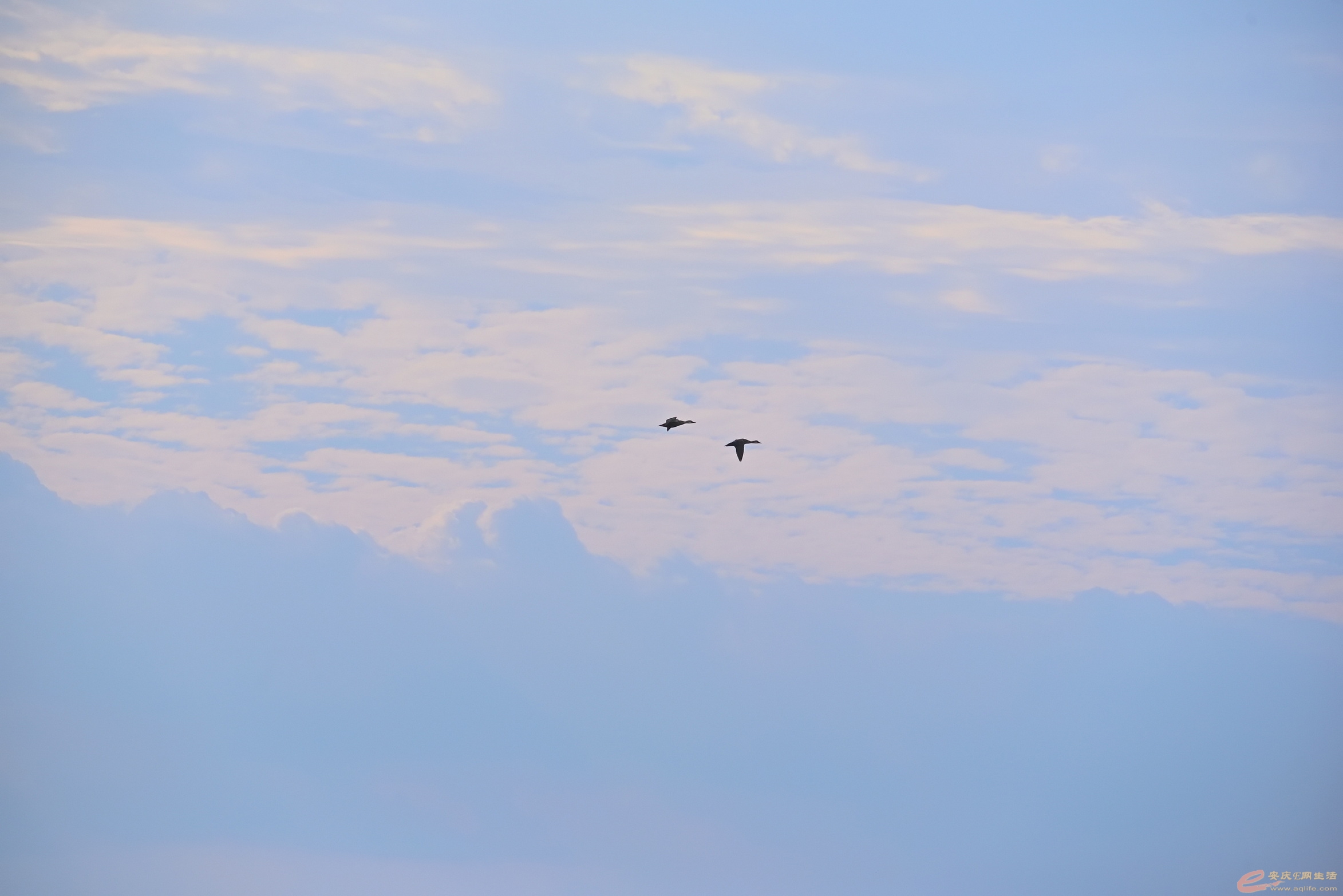 DSC_3046.JPG