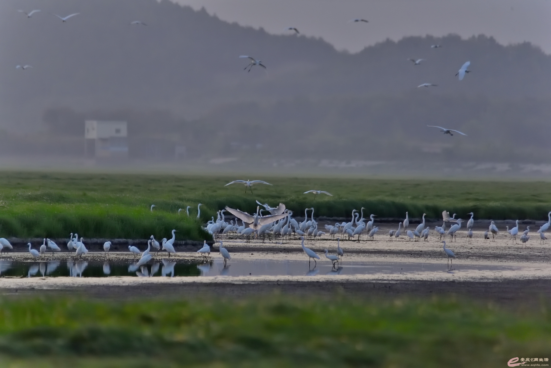 DSC_3165.JPG