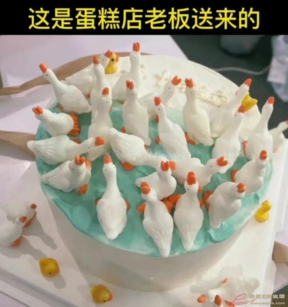 a9d3fd1f4134970ae5c9b427cb9420c2a6865ded.jpeg