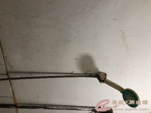 D279848B-F543-4530-9452-2D089440F1AB.jpeg