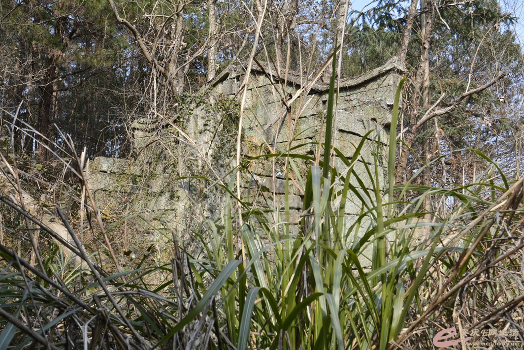 20170131 183.jpg