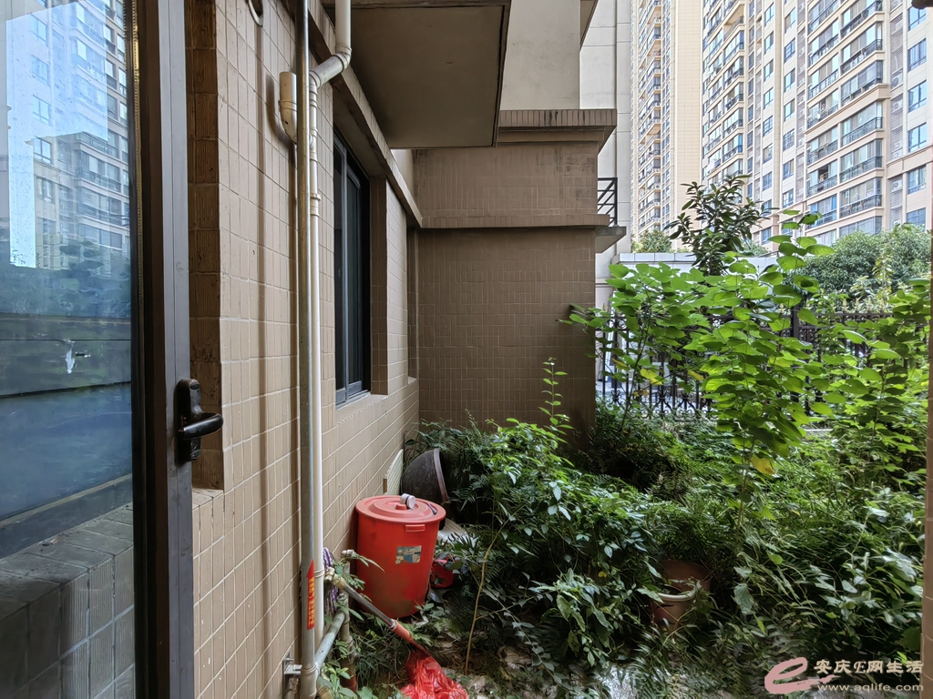 92532132-ed86-4b50-8294-47a1c5415c37_0.jpg