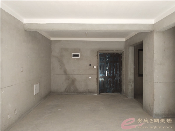 113f5703-da4c-448e-a274-90918c98f428_0.jpg