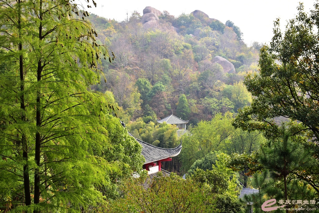 DSC_0095.JPG