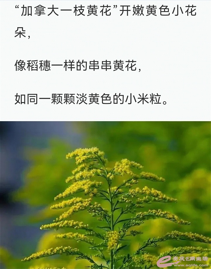1668722838017662.jpeg
