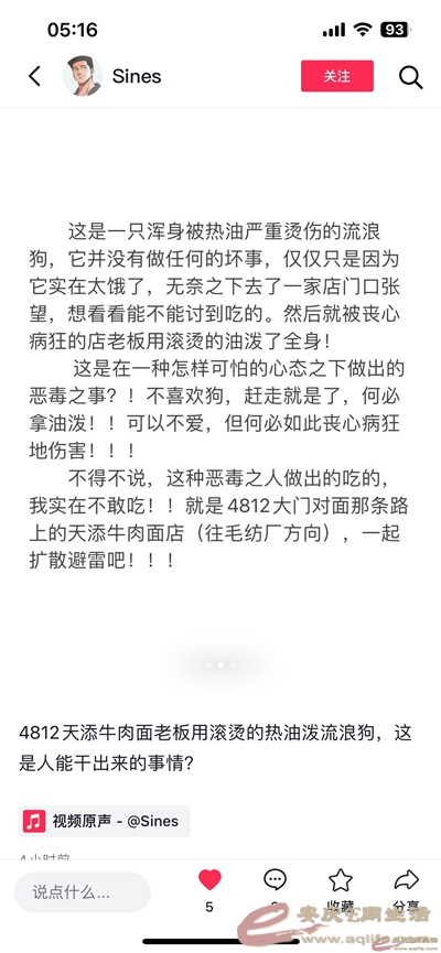 051446xpi7sisbb1jpmqmw.jpg